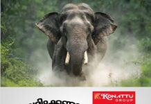 പത്തനംതിട്ടയിലെ മലയോര മേഖലയില് കാട്ടാന ആക്രമണം രൂക്ഷം; കോന്നി, റാന്നി, മലയാലപ്പുഴ, കൊന്നപ്പുഴ പ്രദേശങ്ങളില് വ്യാപക കൃഷിനാശം; പ്രതിഷേധവുമായി നാട്ടുകാര്