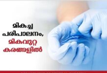 വിമാനത്താവളത്തിലെ എക്സ്-റേ സ്കാനിംഗിൽ സംശയം; ബാഗ് തുറന്ന് പരിശോധിച്ച കസ്റ്റംസ് ഞെട്ടി; തായ്ലൻഡില് നിന്ന് കടത്താൻ ശ്രമിച്ചത് അപൂര്വയിനം വേഴാമ്പലിനെ; യാത്രക്കാരൻ നെടുമ്പാശ്ശേരിയില് പിടിയില്