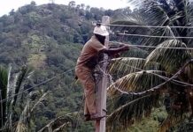 സംസ്ഥാനത്ത് കെഎസ്ഇബി ജീവനക്കാരുടെ മരണസംഖ്യ ഉയരുന്നു; 6 വര്ഷത്തിനിടെ ഷോക്കേറ്റ് മരിച്ചത് 98 പേര്
