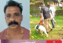 ഓപ്പറേഷൻ തൂഫാൻ: കോട്ടയം പായിപ്പാട് നടത്തിയ പരിശോധനയിൽ നിരവധി കേസുകളിൽ പ്രതിയായ ആൾ അറസ്റ്റിൽ, പിടികൂടിയത് നിരോധിത ലഹരി ഉൽപ്പന്നങ്ങളും ഒരു കിലോയിലധികം കഞ്ചാവും