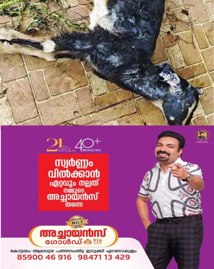 WhatsApp Image 2026-06-09 at 10.08.49 AM