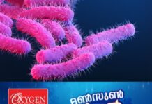 വയനാട്ടില് വിദ്യാർത്ഥികള്ക്ക് ഷിഗല്ല രോഗബാധ സ്ഥിരീകരിച്ച സംഭവം; കൂടുതല് ജാഗ്രതയോടെയുള്ള പ്രവർത്തനത്തിന് നിർദേശം നൽകി മന്ത്രി ടി സിദ്ദിഖ്; ആരോഗ്യമന്ത്രി കെ മുരളീധരൻ ഇന്ന് വയനാട്ടിലെത്തും