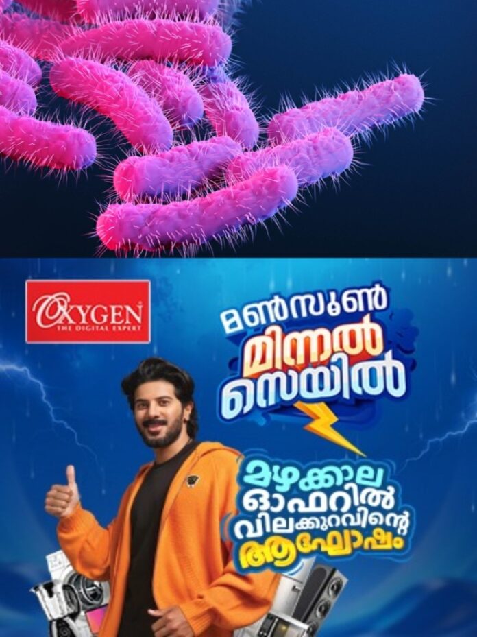 ei3WC0U86949