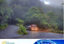 അട്ടപ്പാടി ചുരത്തിൽ മരം വീണ് ആംബുലൻസ് കുടുങ്ങി;ആദിവാസി യുവാവ് മരിച്ചു; വാഹനം കുടുങ്ങിയത് ഒരു മണിക്കൂർ
