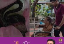 വാഴക്കുല വെട്ടുമ്പോൾ വയോധികന് പാമ്പുകടിയേറ്റു; കടിച്ച പാമ്പിനെ കവറിലാക്കി ആശുപത്രയിലെത്തി; സംഭവം കോഴിക്കോട്