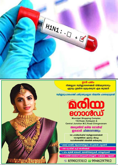 h1n1