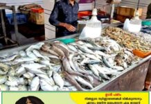 മത്സ്യവിലയ്ക്ക് ആശ്വാസം; വിപണിയില് മീന് വില കുത്തനെ താഴേക്ക്, ഫ്രഷ് മത്തിക്കും ചൂരയ്ക്കും ഉള്പ്പെടെ കുറയുന്നു
